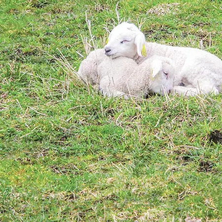 Hébergement de vacances 4 Bedroom Amazing In *